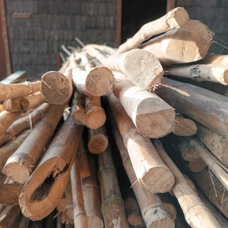 20240529_163518 20240529_163518