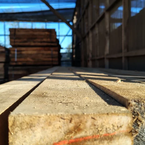 IMG_20250718_095134359_HDR IMG_20250718_095134359_HDR