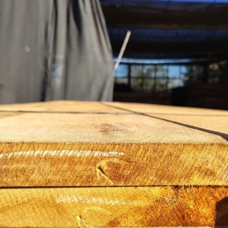 IMG_20250718_095412674_HDR IMG_20250718_095412674_HDR